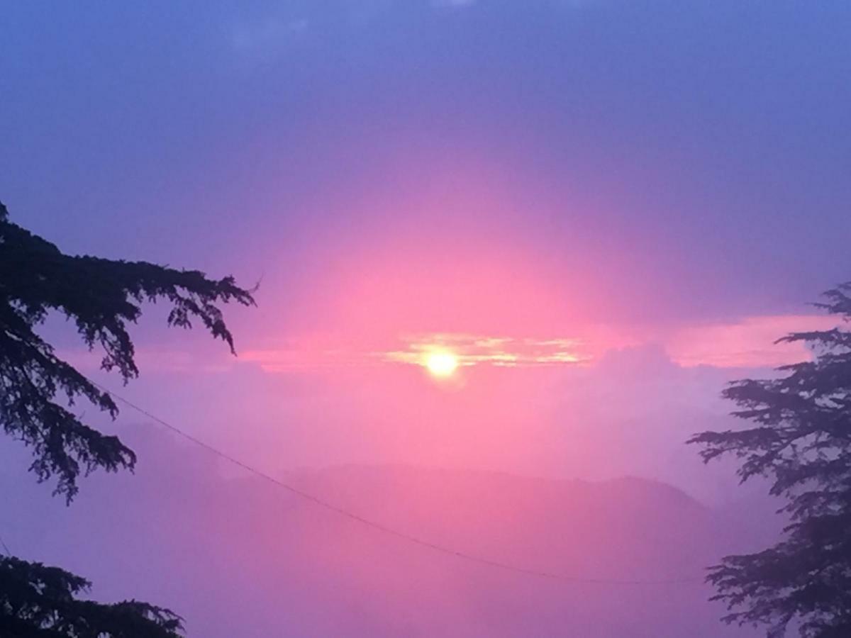 Simla View Shimla Exterior photo